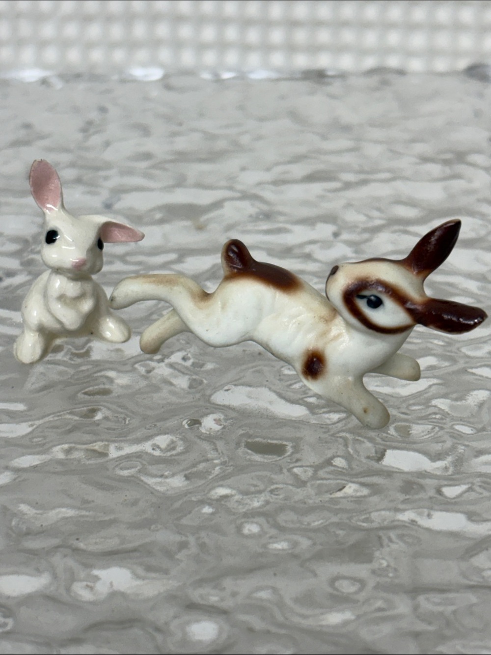 Miniature bunnies - Picture 1 of 10